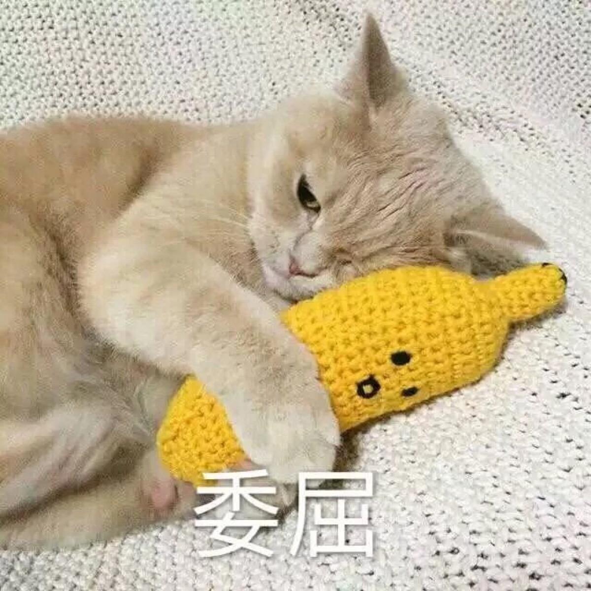 我快笑不出来了我们公司的规定是连续三个月业绩垫底