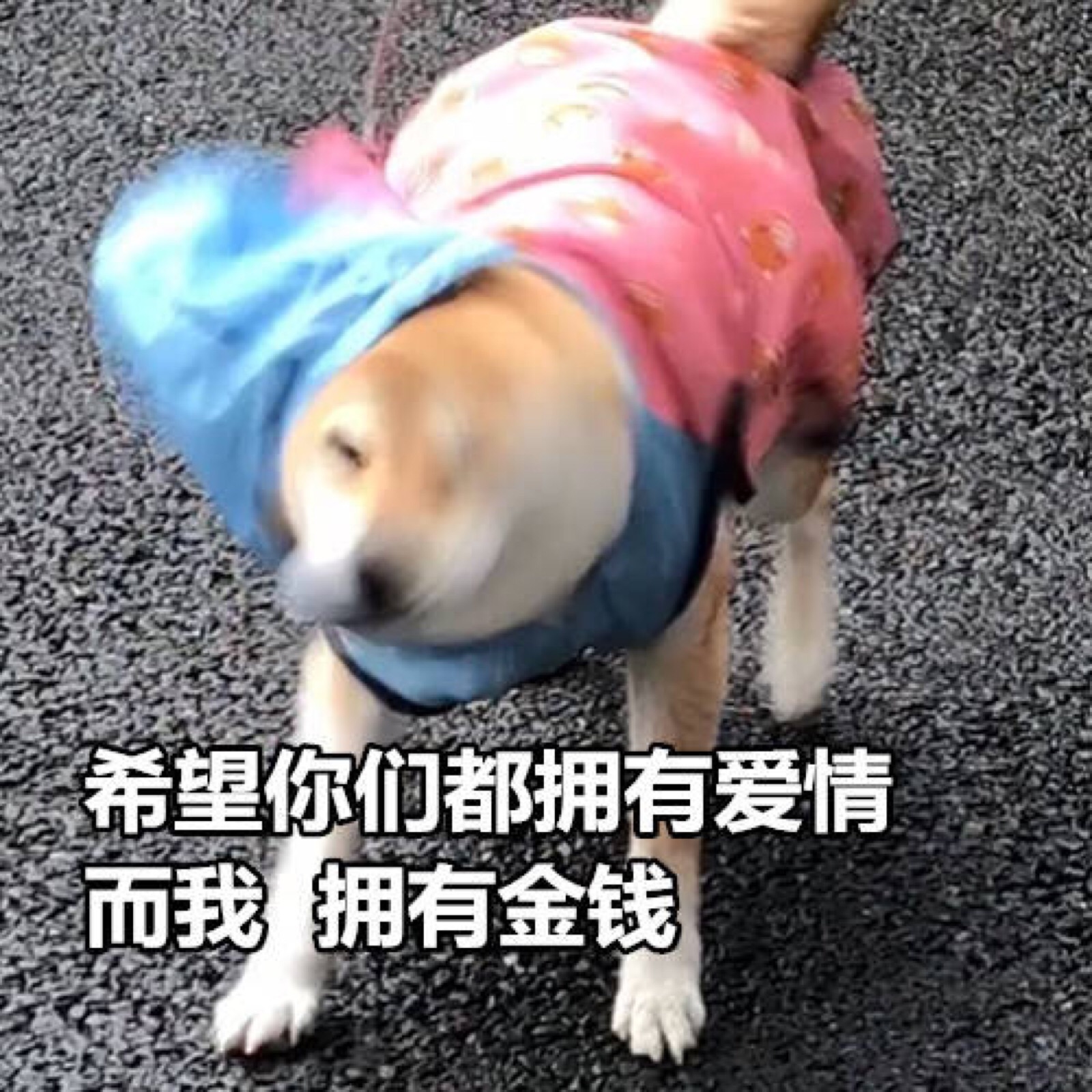 七夕这天的状态