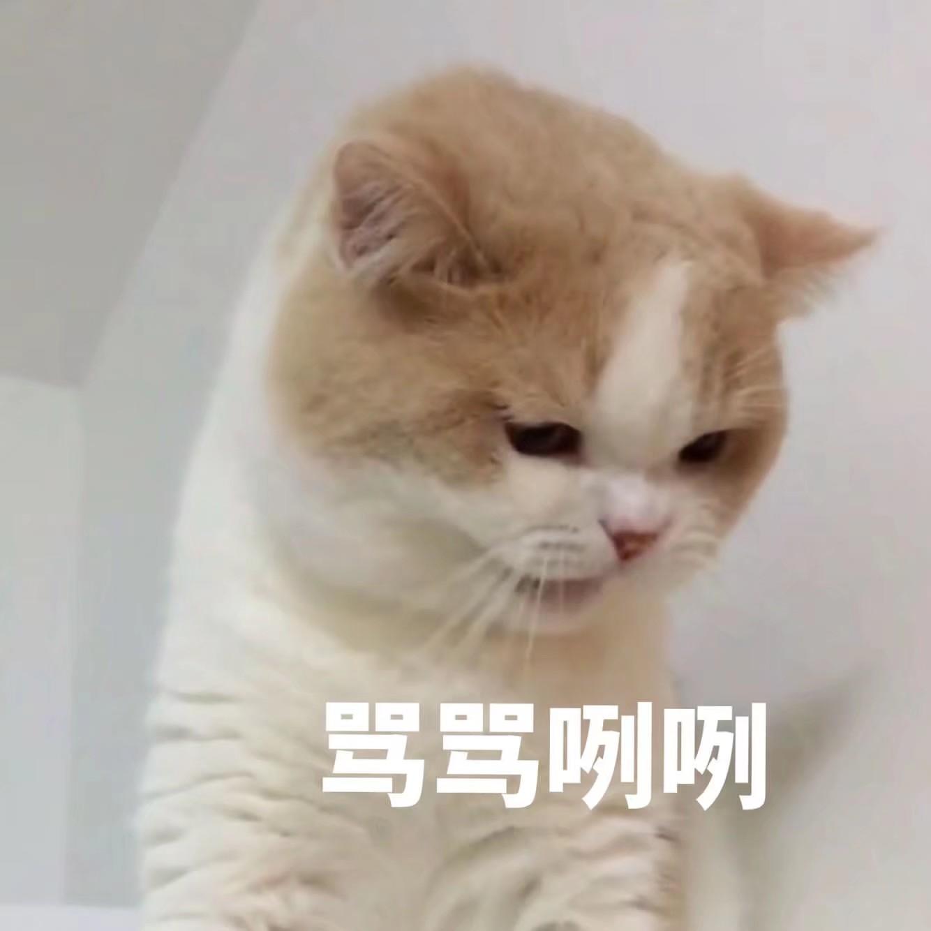 尤其敏感我真是烦透了又到了在办公室都要一直开着空气净化器的下半年