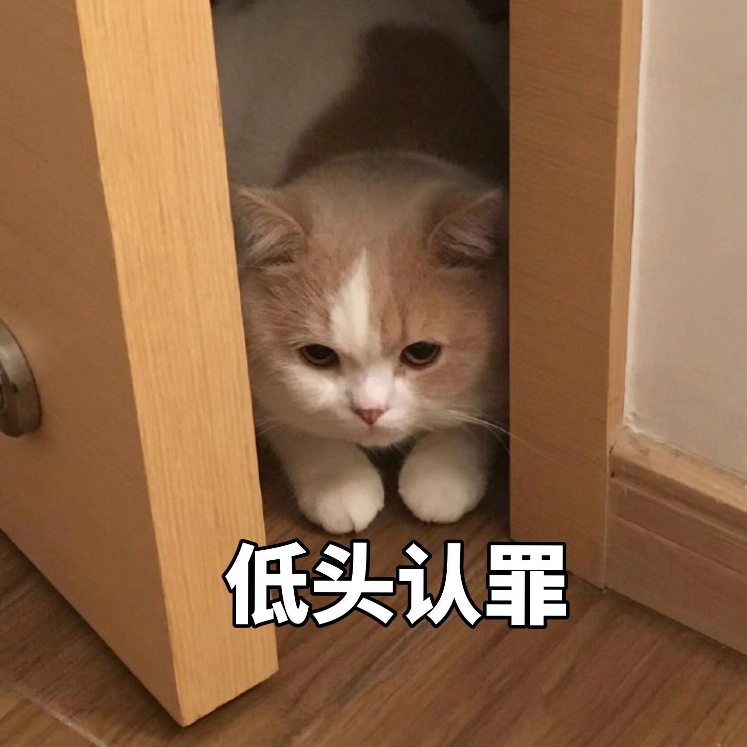           面试官:你有什么特长吗?