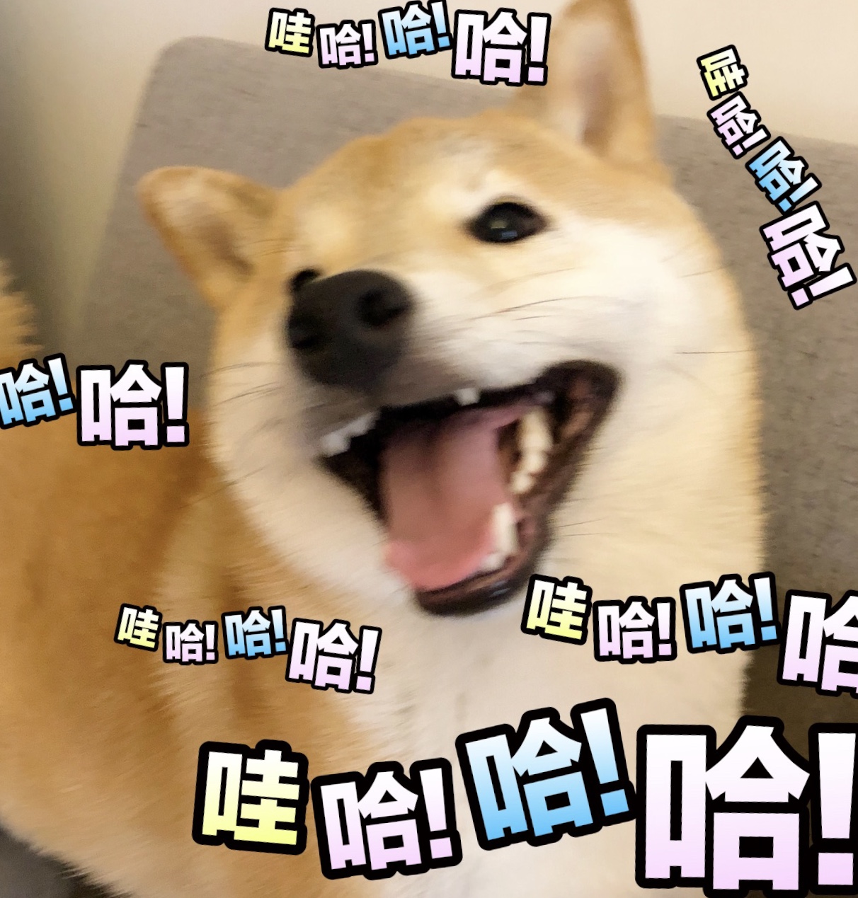 放假啦