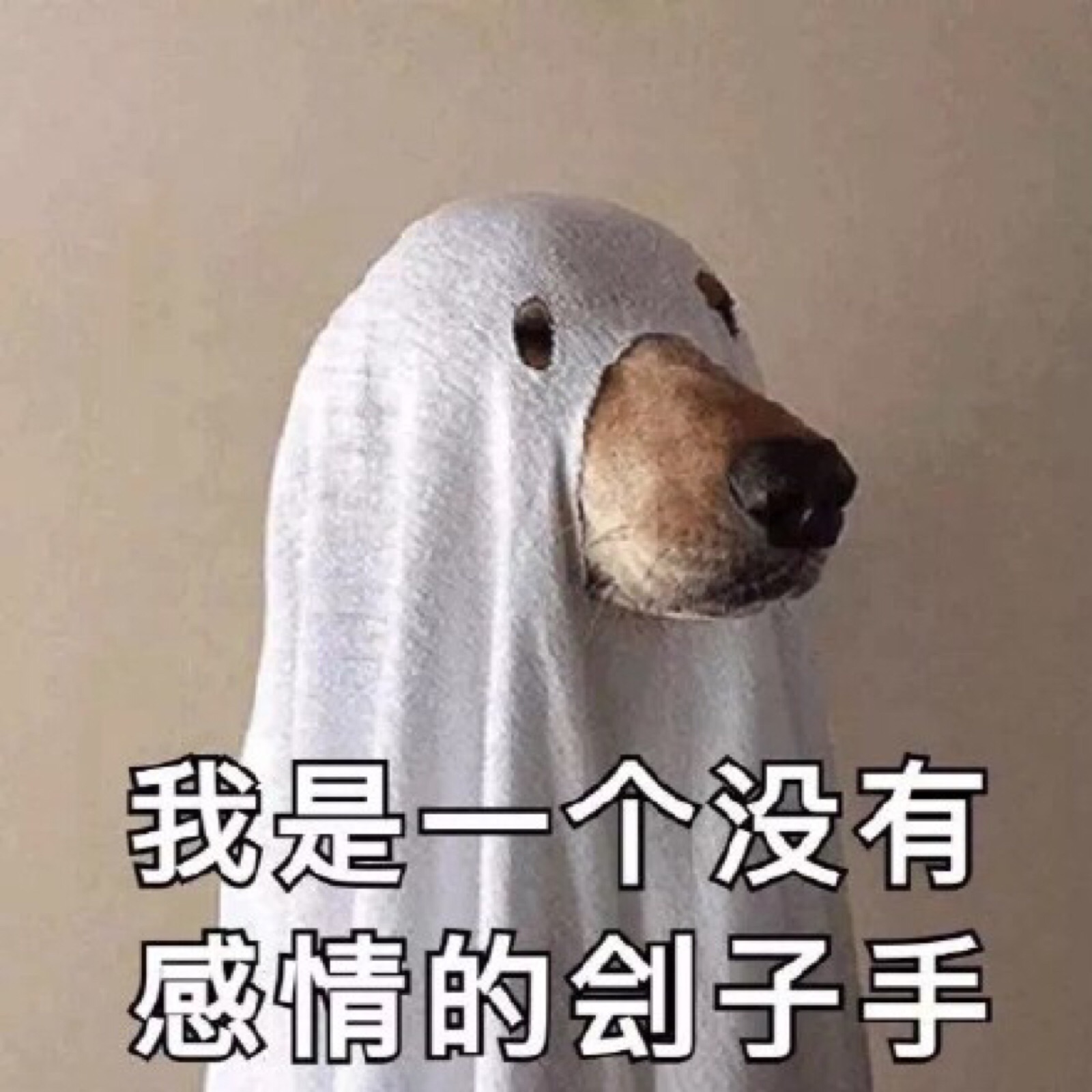 分享我的面试经验